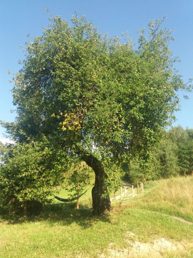 Bjorkowo Villa Polańczyk Eksteriør bilde