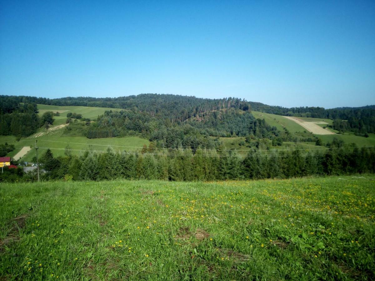 Bjorkowo Villa Polańczyk Eksteriør bilde